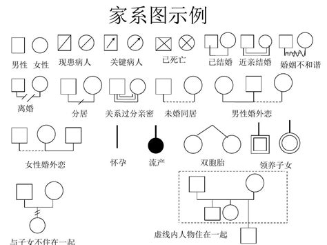 家庭關係分析|家系圖